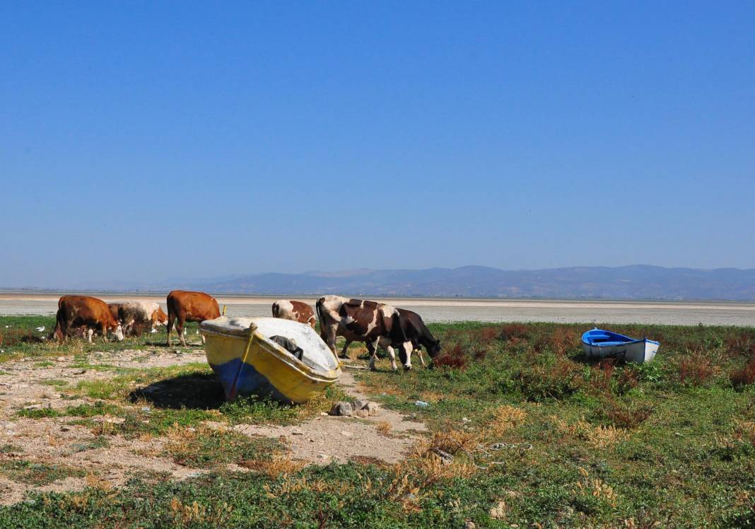 Kuruyan Marmara Gölü'nde tarımsal üretim yapılmasına dava 5