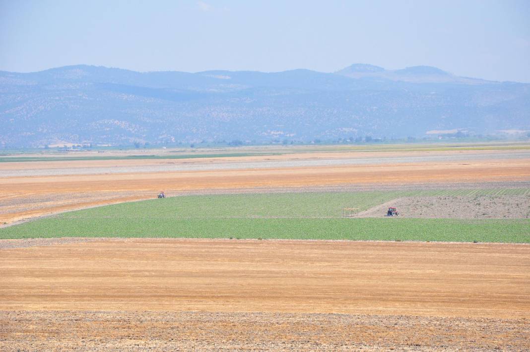 Kuruyan Marmara Gölü'nde tarımsal üretim yapılmasına dava 8