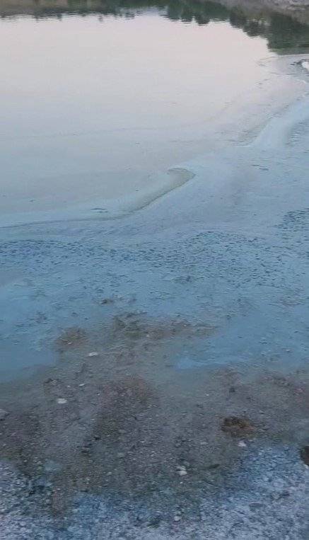 Sazlıbosna Barajı'nda tedirgin eden görüntü: 'Buradan çıkan balığı herkes yiyor, böyle olmamalı' 8