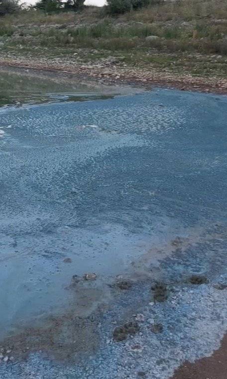 Sazlıbosna Barajı'nda tedirgin eden görüntü: 'Buradan çıkan balığı herkes yiyor, böyle olmamalı' 6