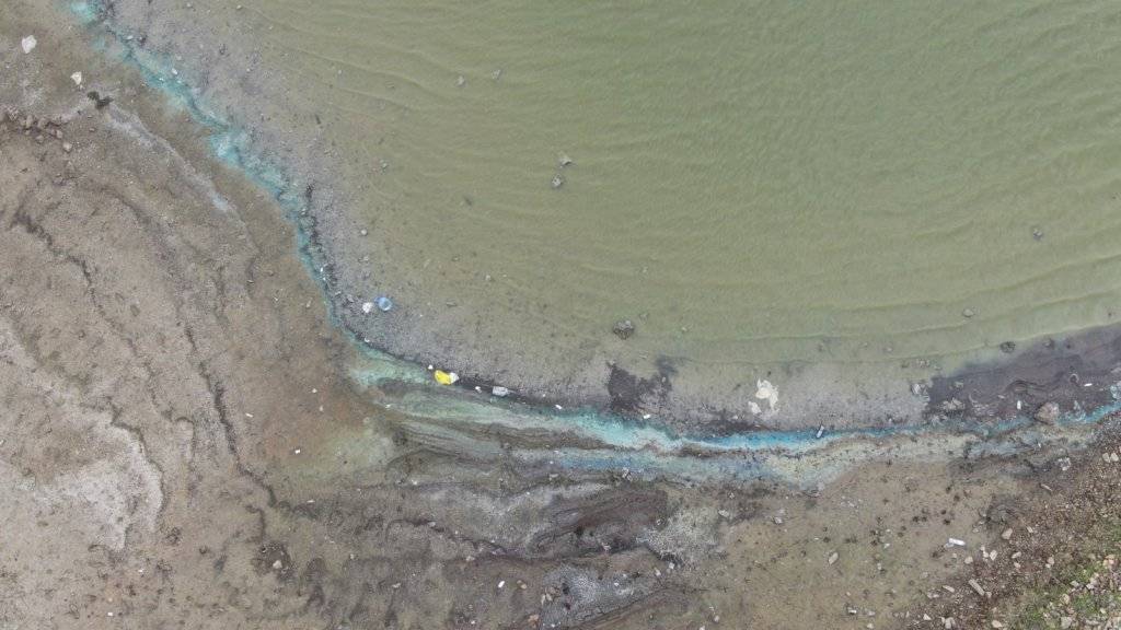 Sazlıbosna Barajı'nda tedirgin eden görüntü: 'Buradan çıkan balığı herkes yiyor, böyle olmamalı' 5