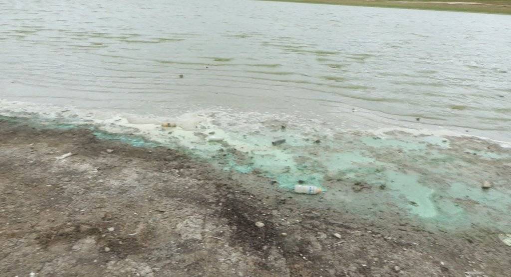 Sazlıbosna Barajı'nda tedirgin eden görüntü: 'Buradan çıkan balığı herkes yiyor, böyle olmamalı' 4