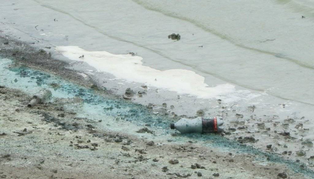 Sazlıbosna Barajı'nda tedirgin eden görüntü: 'Buradan çıkan balığı herkes yiyor, böyle olmamalı' 3