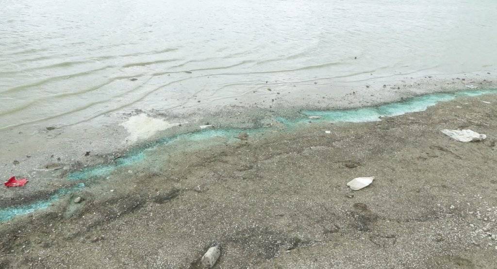 Sazlıbosna Barajı'nda tedirgin eden görüntü: 'Buradan çıkan balığı herkes yiyor, böyle olmamalı' 1