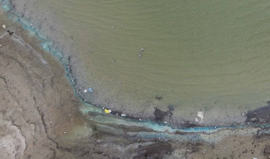 Sazlıbosna Barajı'nda tedirgin eden görüntü: 'Buradan çıkan balığı herkes yiyor, böyle olmamalı' 2