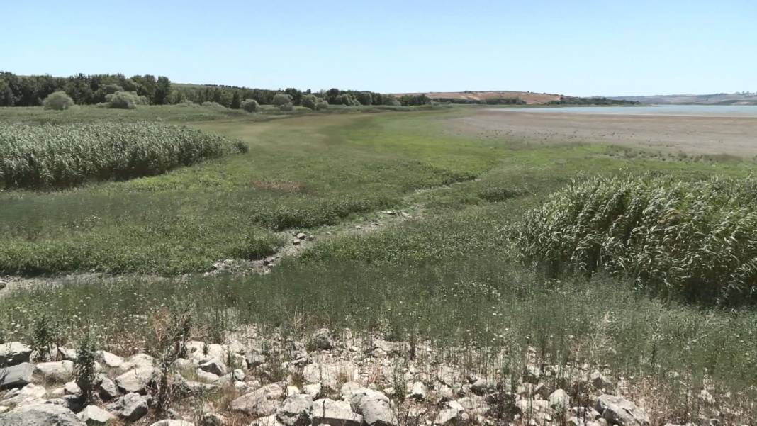 Büyükçekmece Gölü’nde kuraklık: Balık tutulan yerler kuru toprağa döndü 10