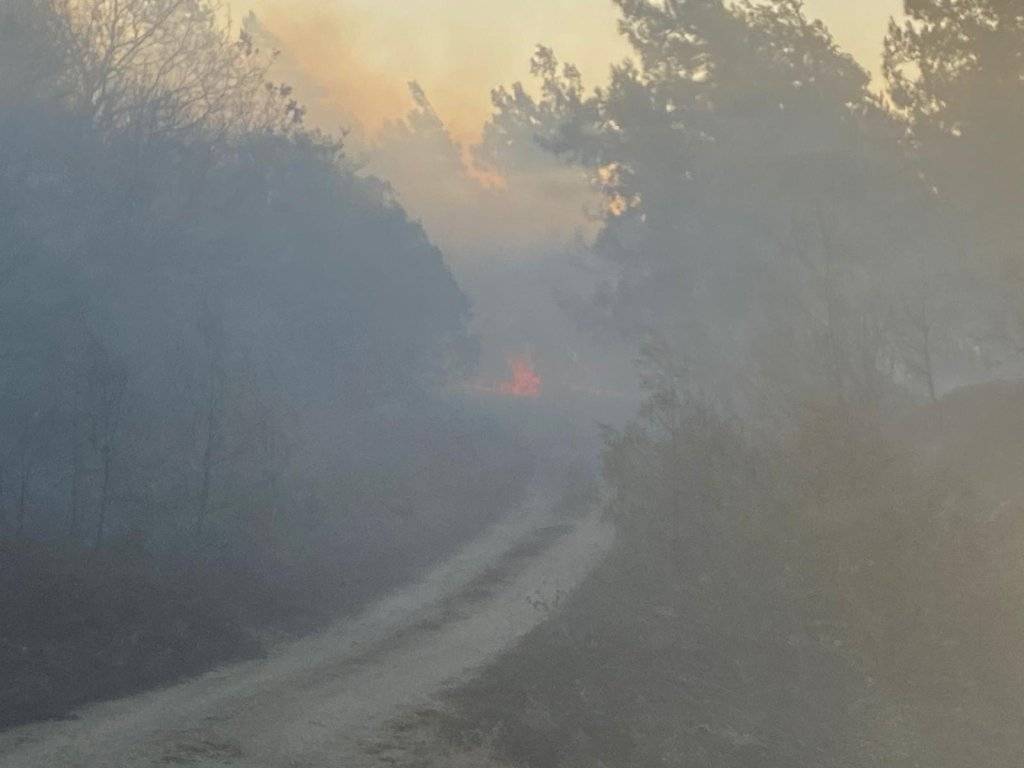 Çanakkale'nin ardından Bursa'da da orman yangını 6