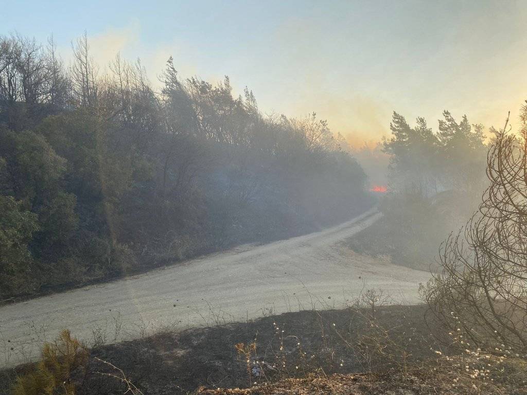 Çanakkale'nin ardından Bursa'da da orman yangını 3