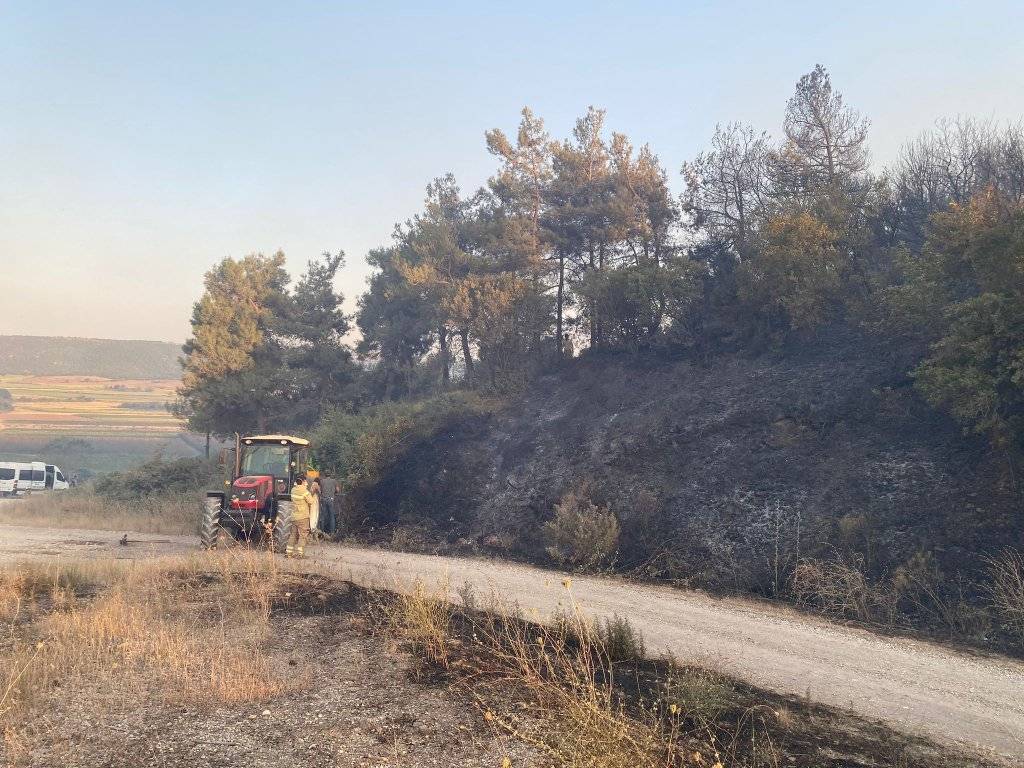 Çanakkale'nin ardından Bursa'da da orman yangını 1