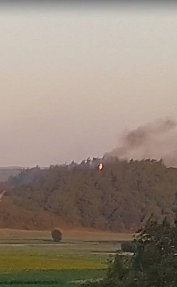 Çanakkale'nin ardından Bursa'da da orman yangını 2