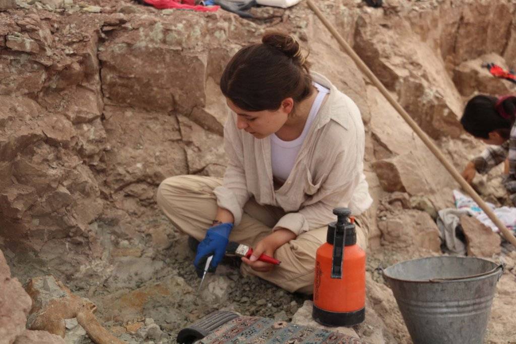Çankırı'da, bu yıl 8,5 milyon yıllık 100 fosil bulundu 3