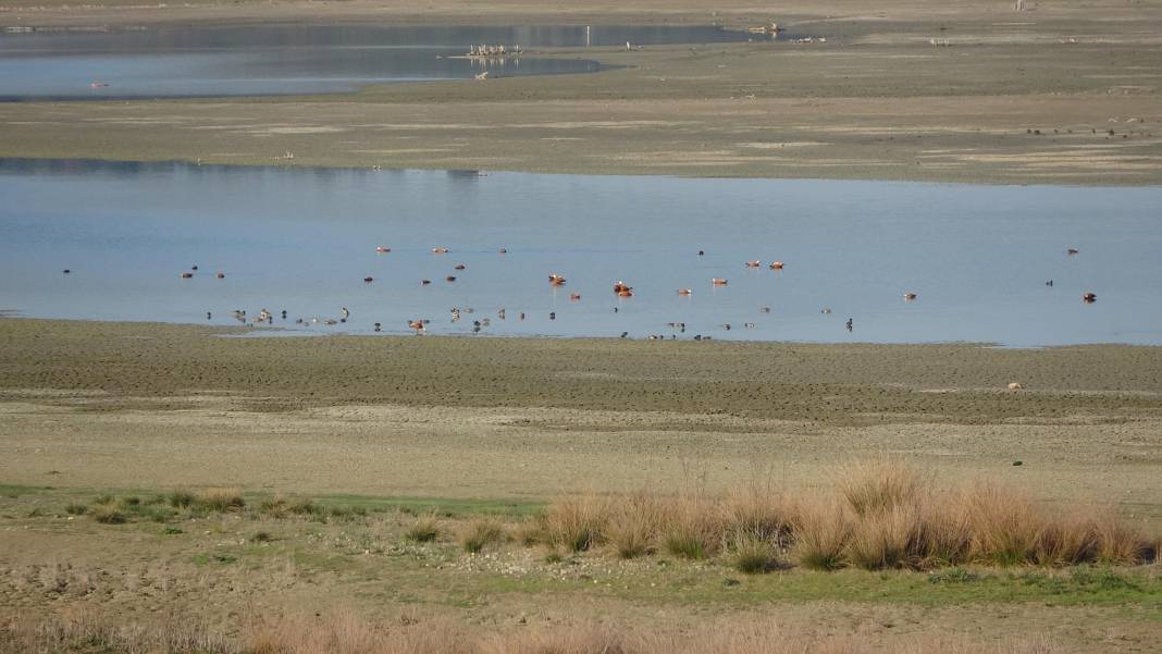Uzunhızırlı Göleti tamamen kurudu: Göçmen kuşların uğrak noktasıydı 6