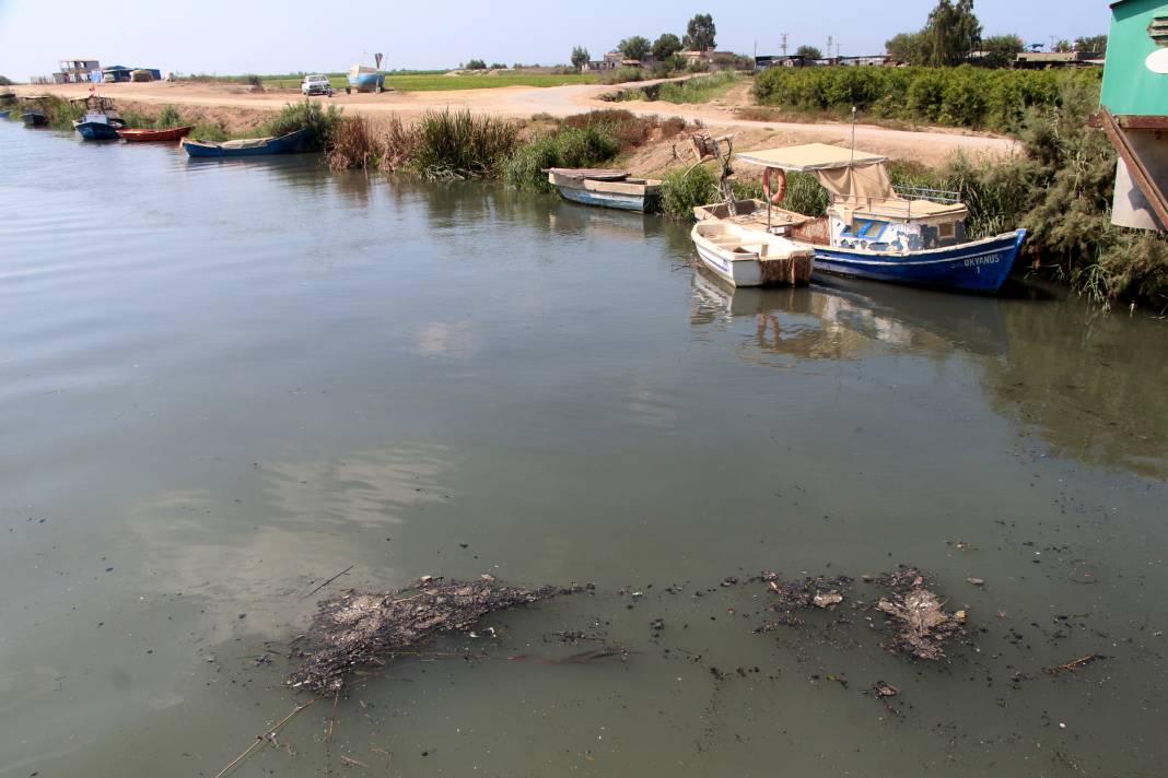 Seyhan Nehri'nin Akdeniz'e döküldüğü noktada kirlilik alarm veriyor 9