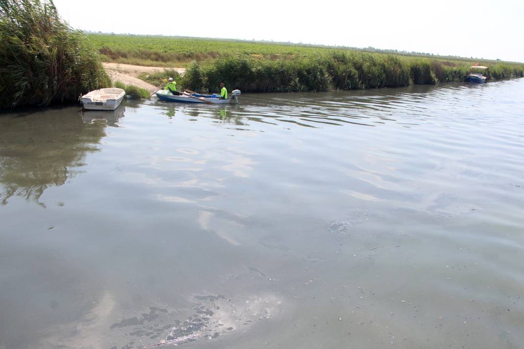 Seyhan Nehri'nin Akdeniz'e döküldüğü noktada kirlilik alarm veriyor 4