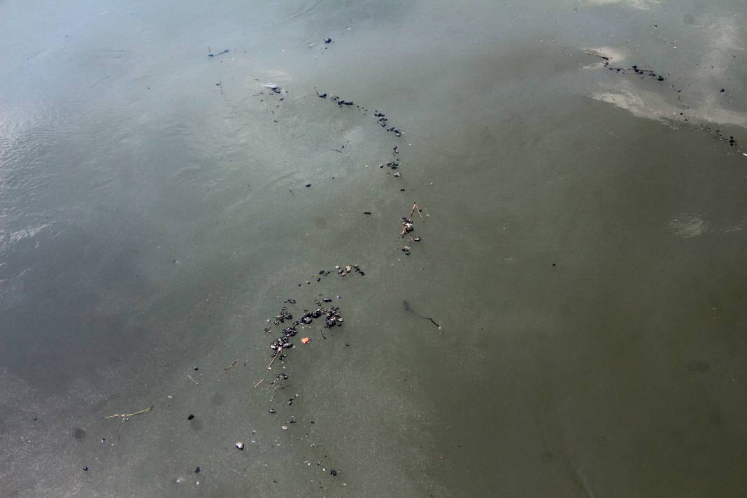 Seyhan Nehri'nin Akdeniz'e döküldüğü noktada kirlilik alarm veriyor 1