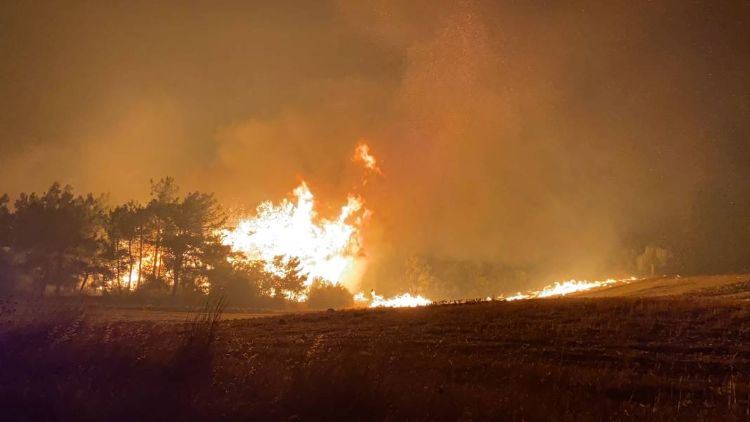 Çanakkale'de orman yangını: 10 köyde 1104 kişi tahliye edildi 5