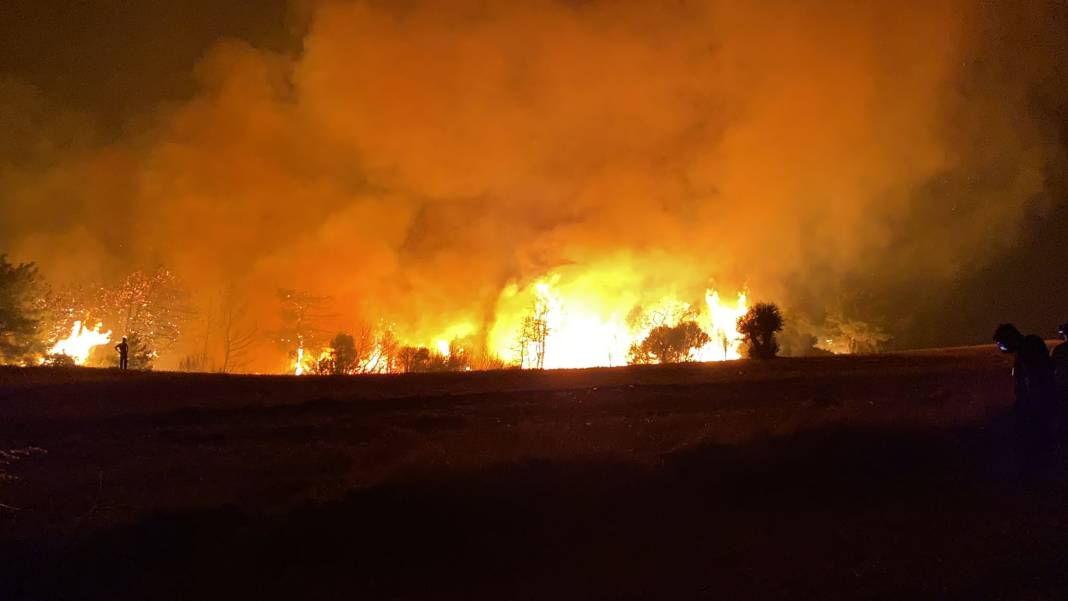Çanakkale'de orman yangını: 10 köyde 1104 kişi tahliye edildi 4