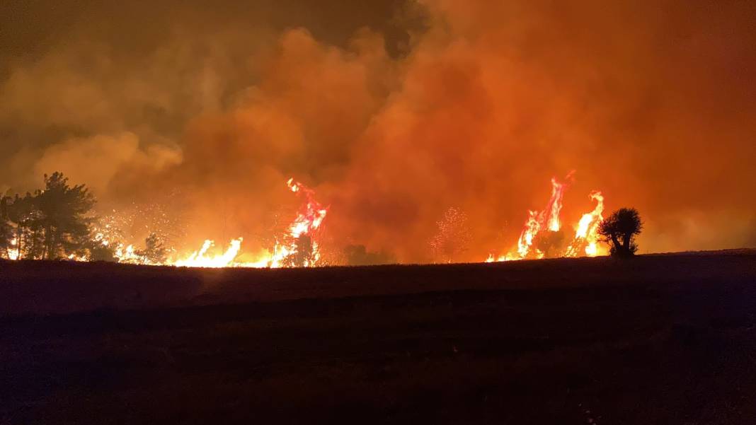 Çanakkale'de orman yangını: 10 köyde 1104 kişi tahliye edildi 3