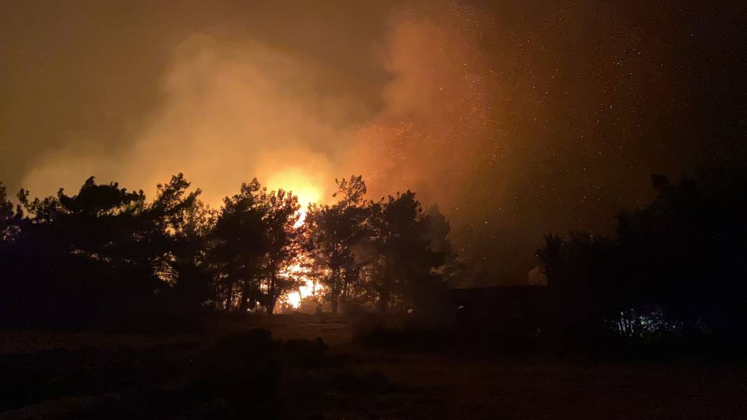Çanakkale'de orman yangını: 10 köyde 1104 kişi tahliye edildi 1