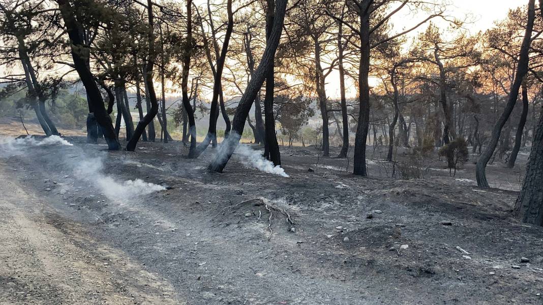Yangın bölgesi havadan görüntülendi: 4 bin 80 hektar alan etkilendi, Çanakkale griye döndü 1