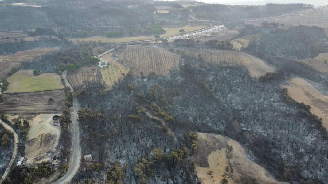 Yangın bölgesi havadan görüntülendi: 4 bin 80 hektar alan etkilendi, Çanakkale griye döndü 14