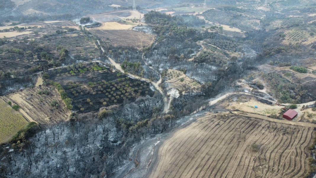 Yangın bölgesi havadan görüntülendi: 4 bin 80 hektar alan etkilendi, Çanakkale griye döndü 11