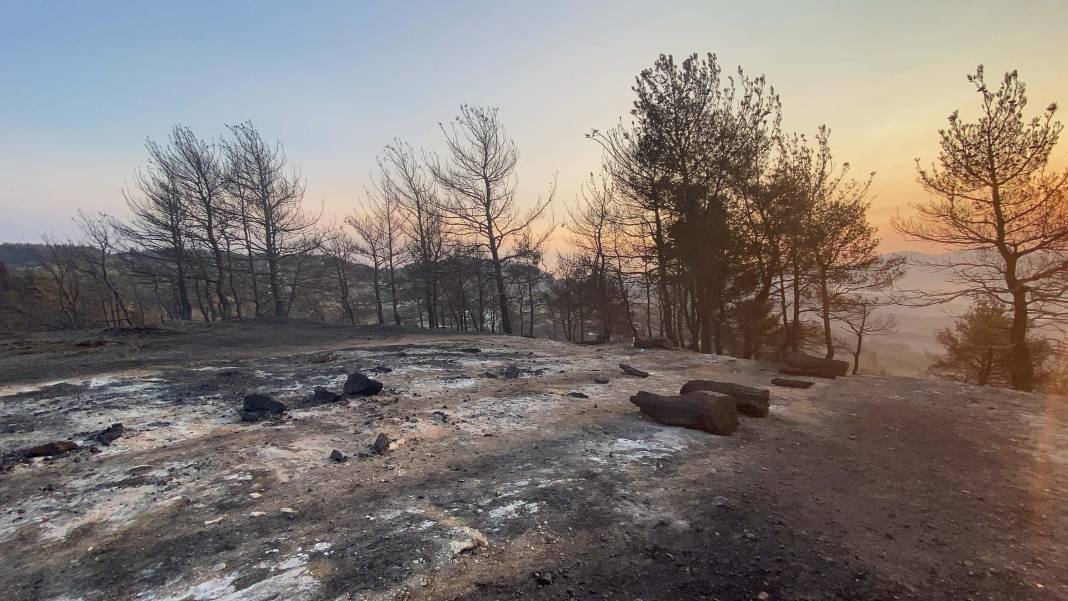 Yangın bölgesi havadan görüntülendi: 4 bin 80 hektar alan etkilendi, Çanakkale griye döndü 10