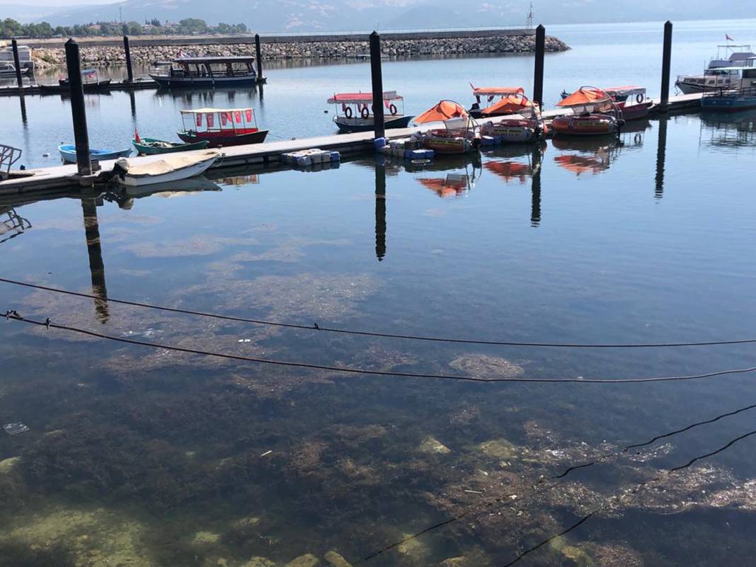 Türkiye’nin en büyük iki gölü için kritik uyarı: Bir damla dahi su almayın 8