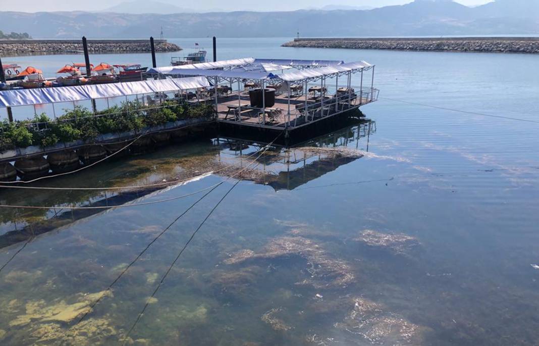 Türkiye’nin en büyük iki gölü için kritik uyarı: Bir damla dahi su almayın 9