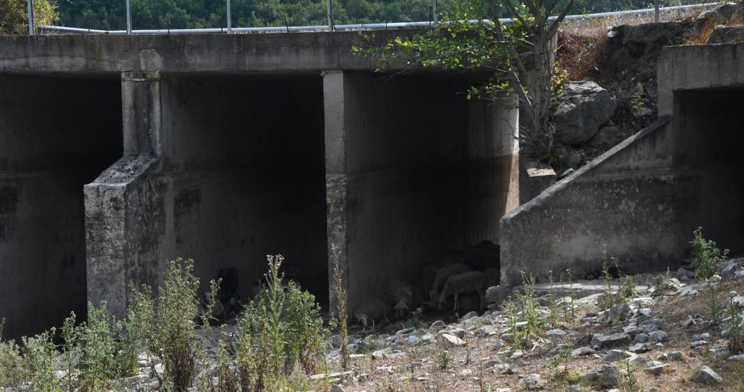 İstanbul barajlarında doluluk oranı yüzde 36'ya düştü... Yüzde 60 olması gerekiyordu... 3