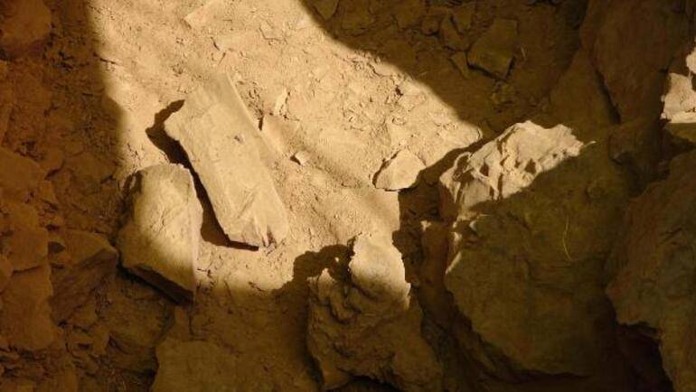 86 bin yıllık mağarada bulundu: İnsan beyninin gelişimine ışık tutacak 4