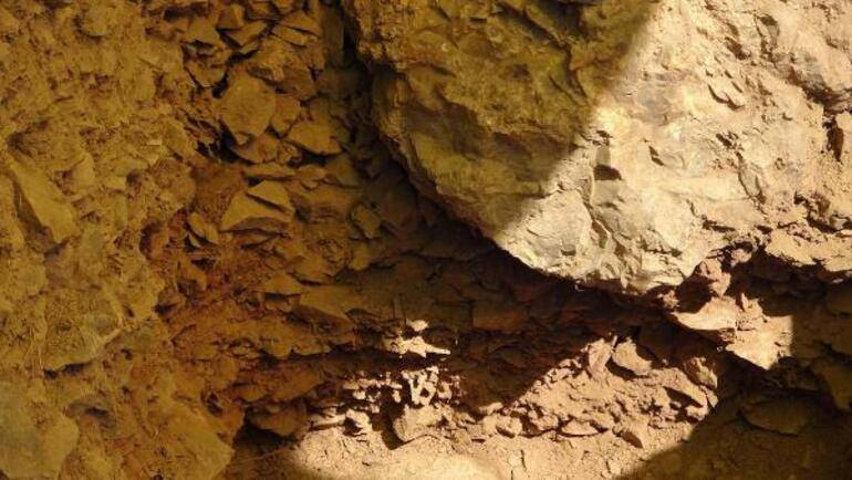86 bin yıllık mağarada bulundu: İnsan beyninin gelişimine ışık tutacak 2