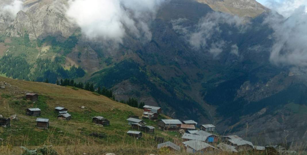 Doğu Karadeniz'de mevsimin ilk karı düştü 12