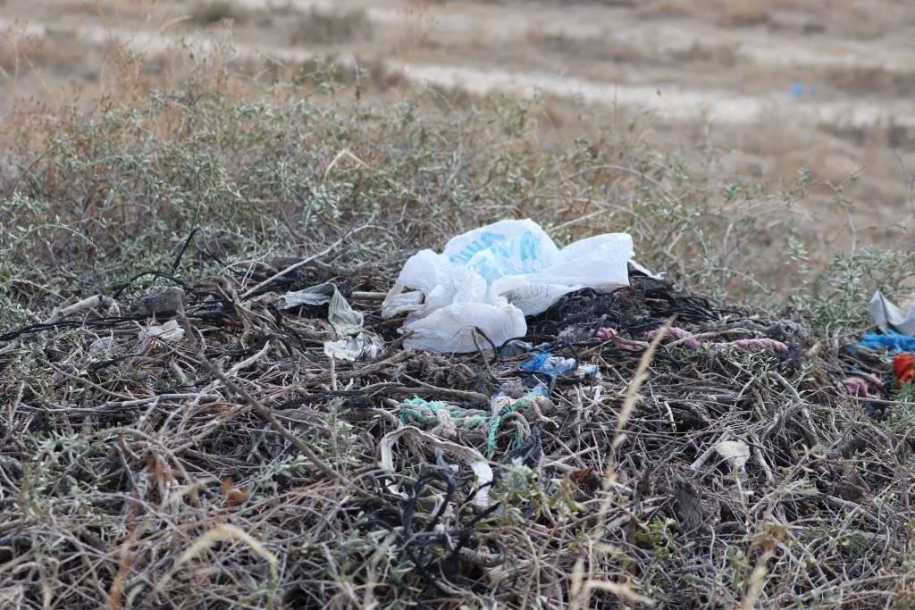 Türkiye’de 12 çift kaldığı tahmin edilen bozkır kartalları için yeni eylem planı 3