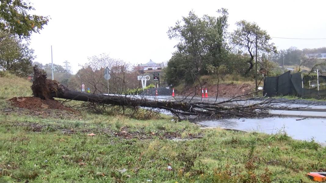 Fırtına tüm yurtta etkili oldu: Ağaçlar devrildi, yollar çöktü, tekneler battı 22