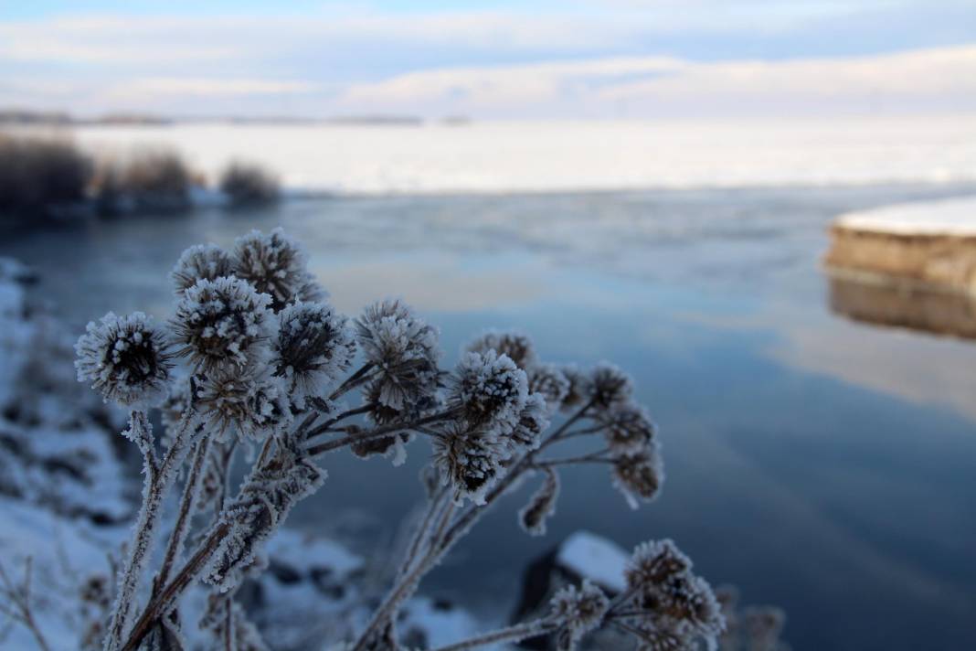 ‘Türkiye’nin çatısı’ Ardahan’da Sibirya soğukları: Kura Nehri'nin yüzeyi buz tuttu 1