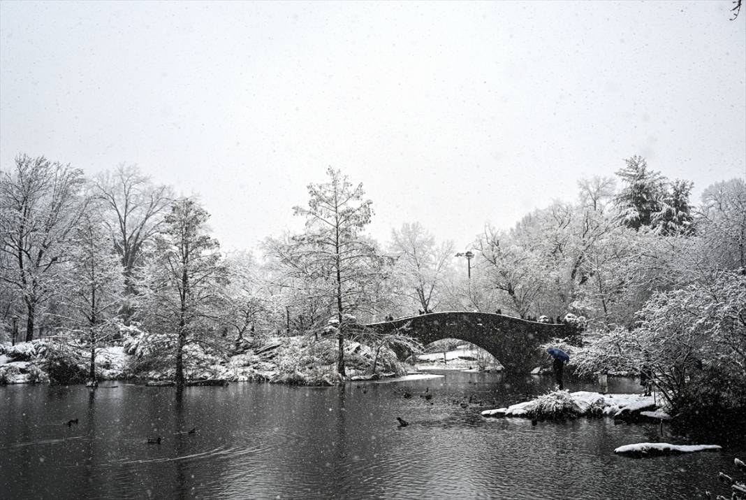 New York kara teslim ancak karın keyfi Central Park'ta çıktı 9