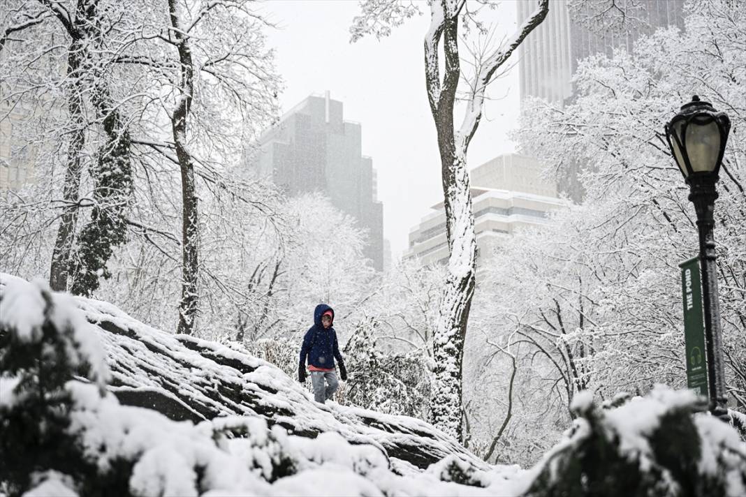 New York kara teslim ancak karın keyfi Central Park'ta çıktı 20