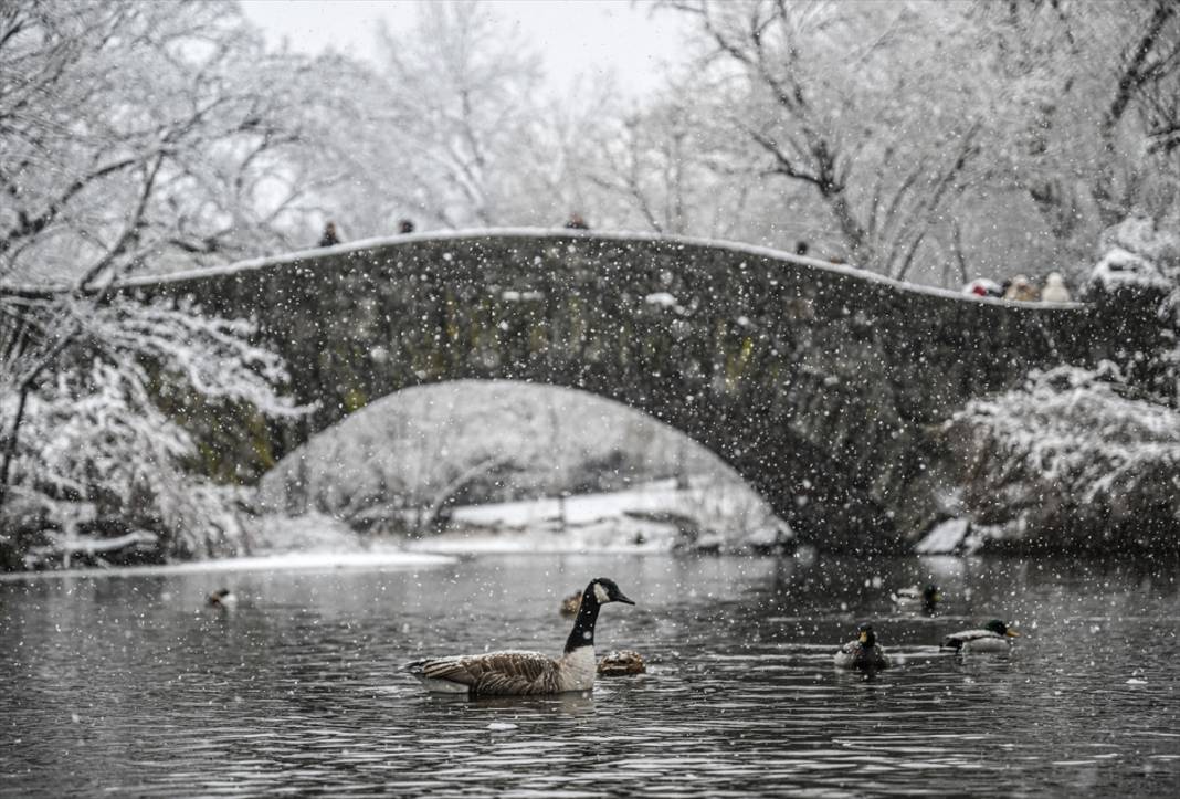 New York kara teslim ancak karın keyfi Central Park'ta çıktı 23
