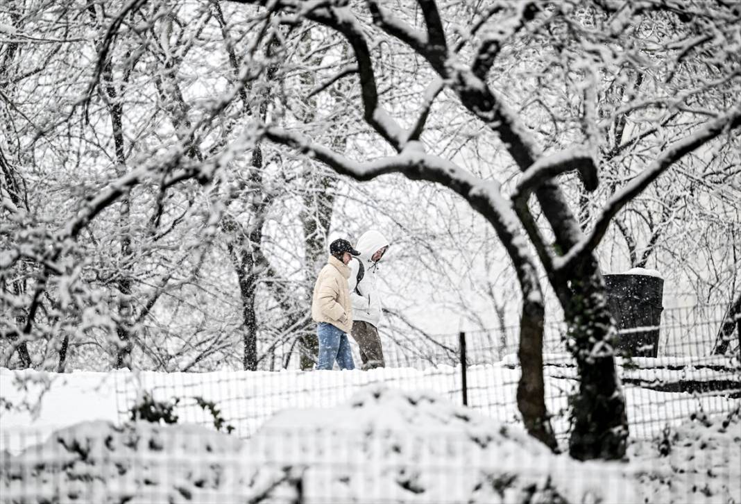 New York kara teslim ancak karın keyfi Central Park'ta çıktı 21