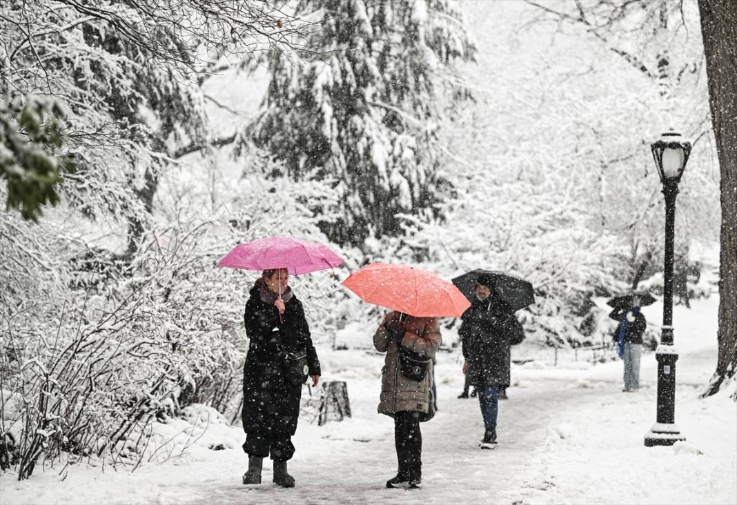 New York kara teslim ancak karın keyfi Central Park'ta çıktı 15