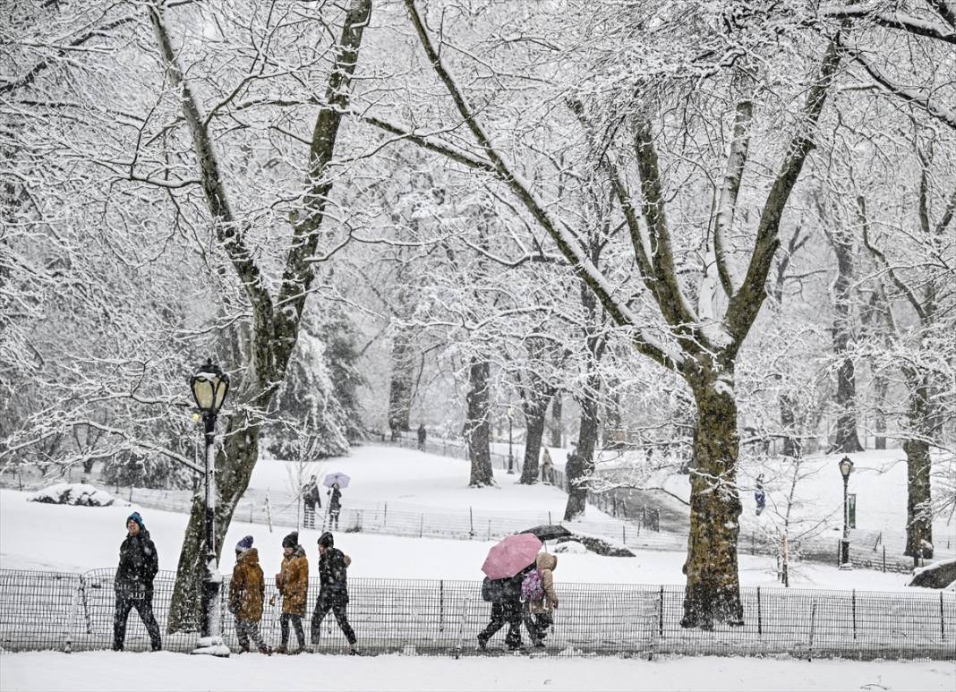 New York kara teslim ancak karın keyfi Central Park'ta çıktı 12