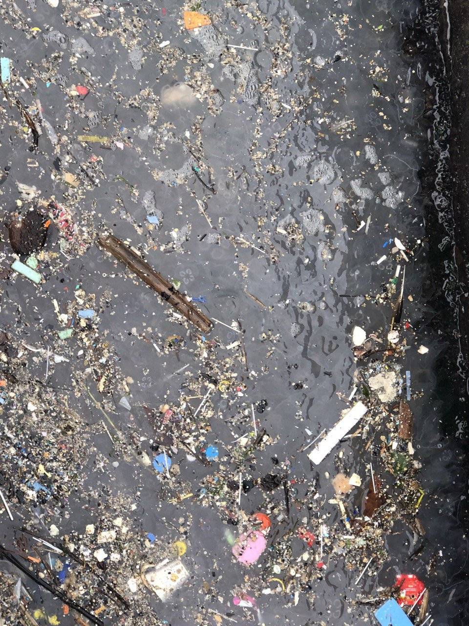 Marmara'da depremden sonra en büyük 2. tehlike: Denizanası işgali 7