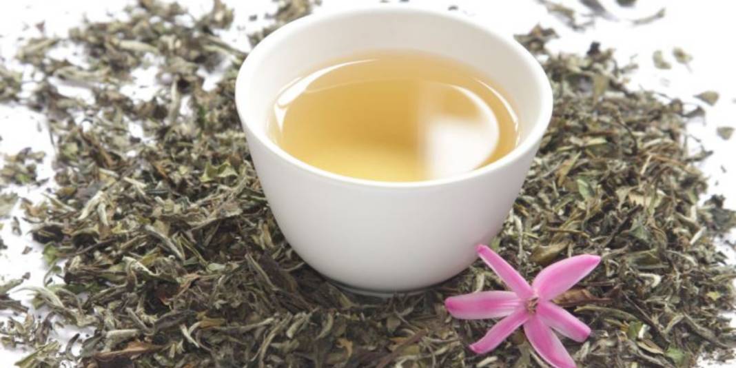 Beyaz çay geleneksel çayın yerini mi alıyor? İşte beyaz çayın bilinmeyen faydaları 10