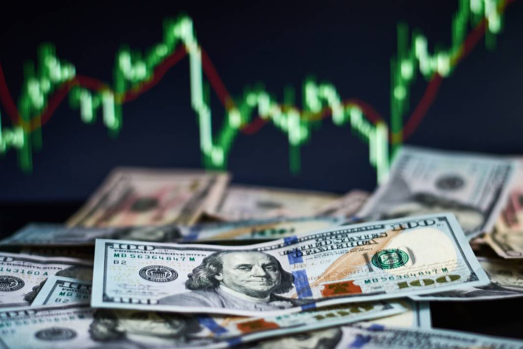 Merkez Bankası'nın dövizle mücadelesi: 'Gümbür gümbür döviz alıyor', 'dolar hızla gerileyebilir' 3