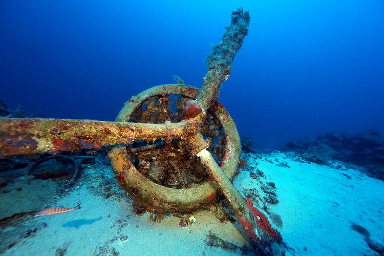 2. Dünya Savaşı batığı bombardıman uçağı Kaş açıklarında görüntülendi 6