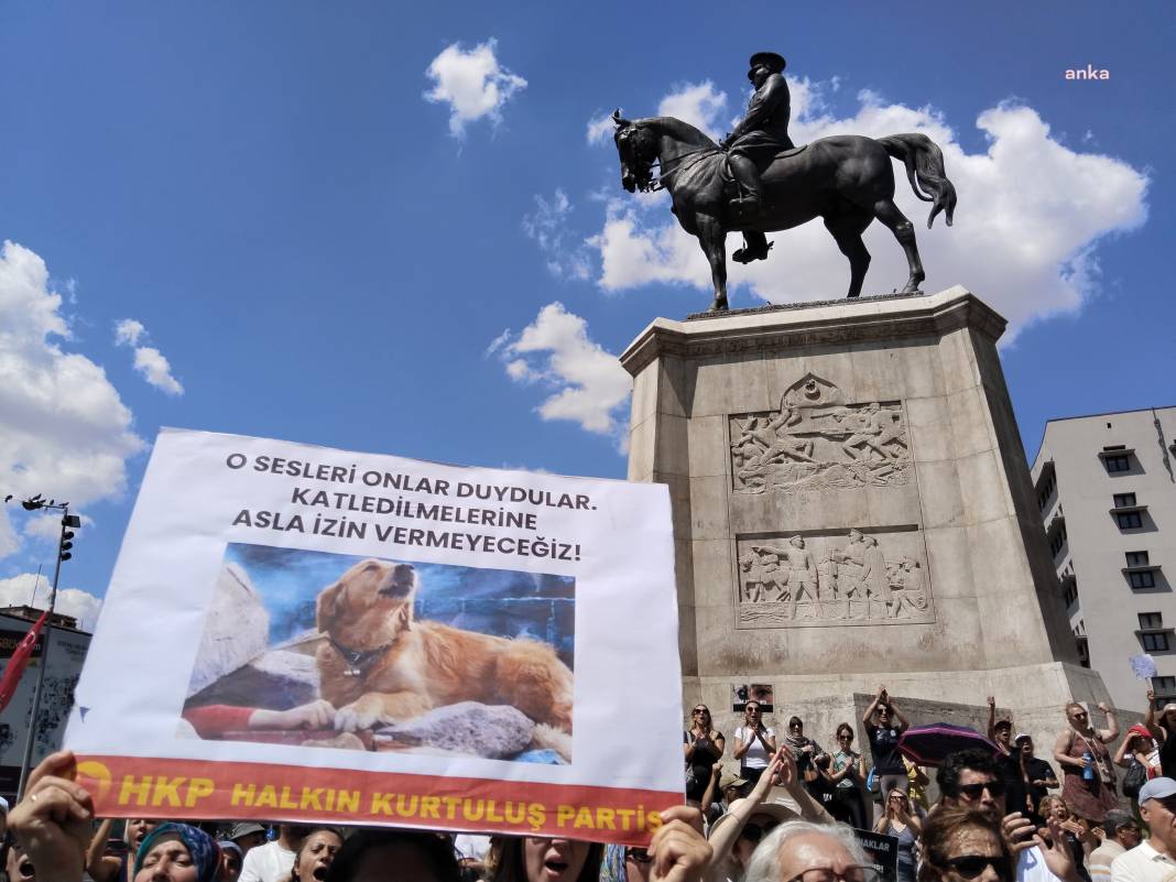 Hayvan hakları savunucuları eylemde: ‘Tarih sizi yargılayacak’ 6