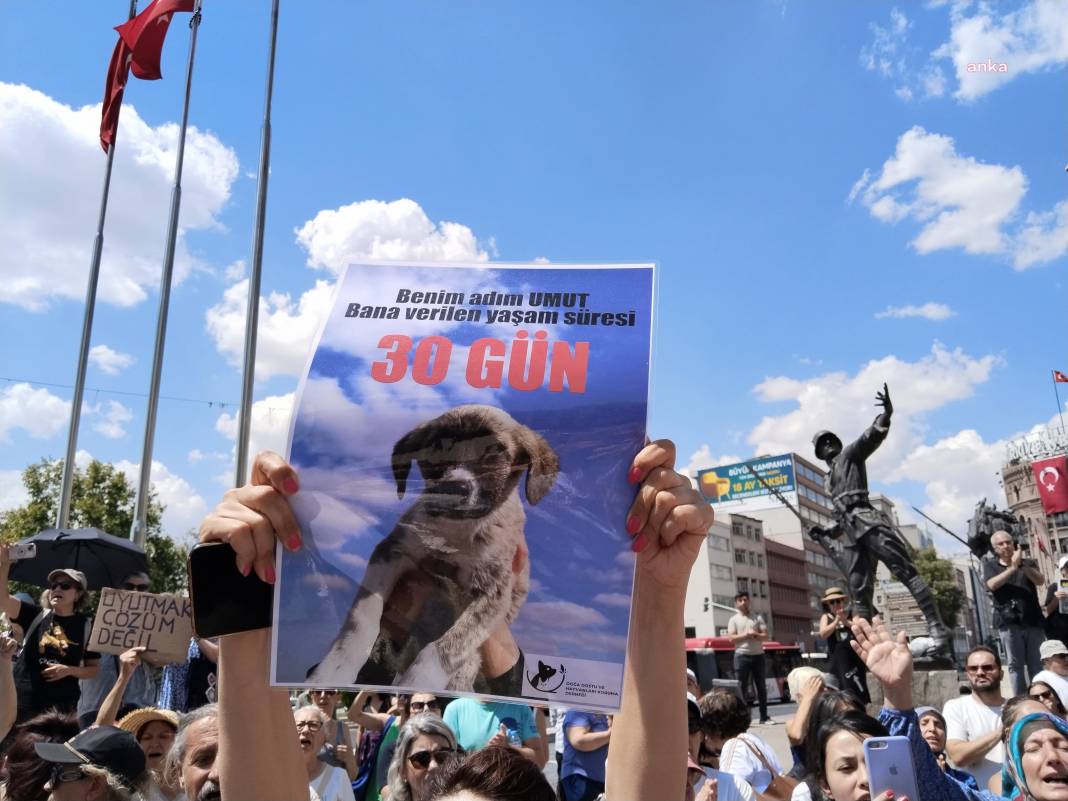 Hayvan hakları savunucuları eylemde: ‘Tarih sizi yargılayacak’ 7