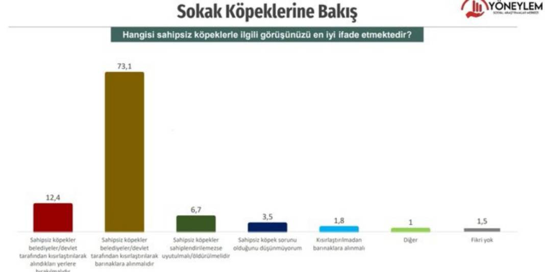 Yöneylem araştırma sordu: Sokak köpekleri uyutulmalı mı? 9