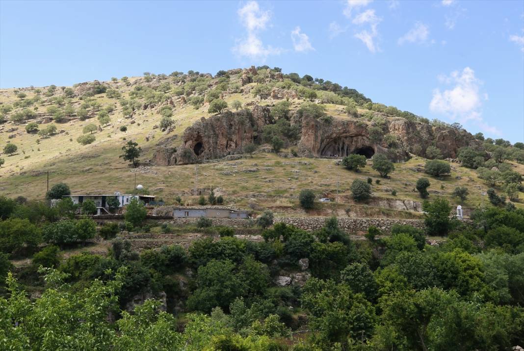 Kızıltepe'de heyecan yaratan arkeolojik kazı: 350 bin yıllık buluntu 9